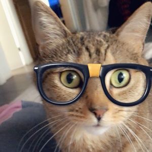 Meet your Posher, Melissa